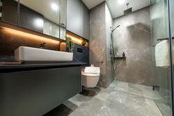 Irwell Hill Residences (D9), Apartment #529599581